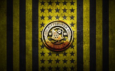 Pittsburgh Riverhounds flag, USL, yellow black metal background, american soccer club, Pittsburgh Riverhounds logo, USA, soccer, Pittsburgh Riverhounds SC, golden logo