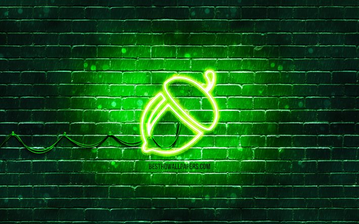 الجوزة رمز النيون, 4 ك, خلفية خضراء, رموز النيون, البلوط, أيقونات النيون, علامة الجوزة, علامات الطعام, رمز الجوزة, أيقونات الطعام