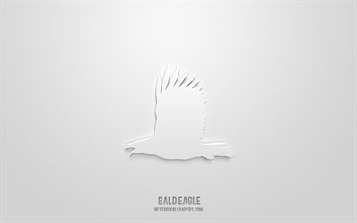 Bald eagle 3d icon, white background, 3d symbols, Bald eagle, creative 3d art, 3d icons, Bald eagle sign, Animals 3d icons
