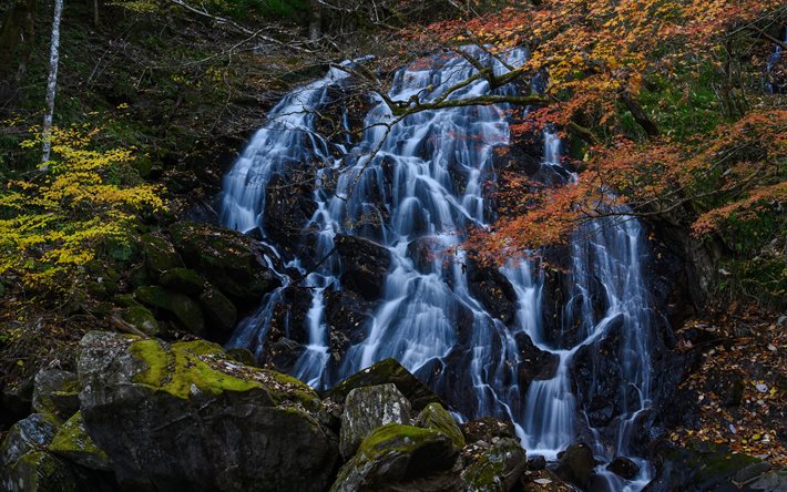 h&#246;st, vattenfall, stenar, vackert vattenfall, gula l&#246;v, bergsvattenfall