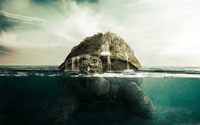 turtle, island, big turtle, sea