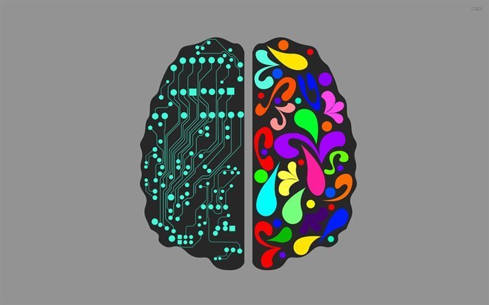 el cerebro, la tecnolog&#237;a digital, el pensamiento, la placa base