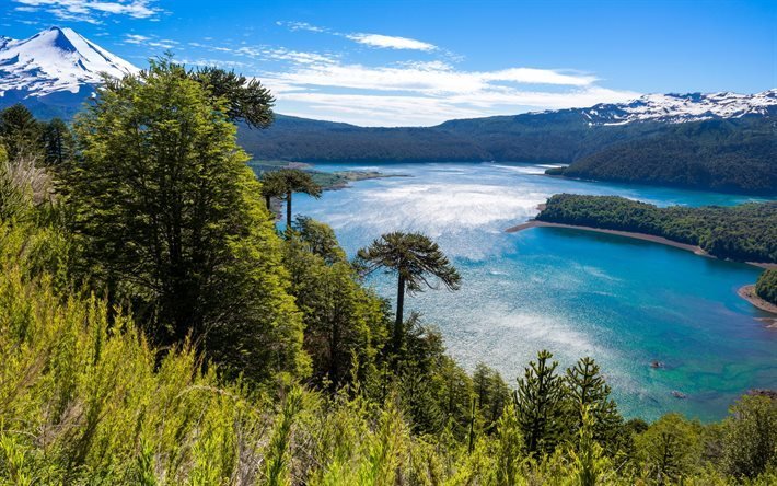 Le Parc National Conguillio, montagne, lac, ciel bleu, Chili