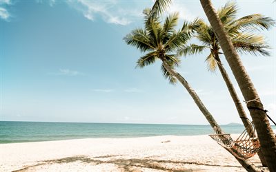 tropical islands, beach, palms, hammock, ocean, sand, wind