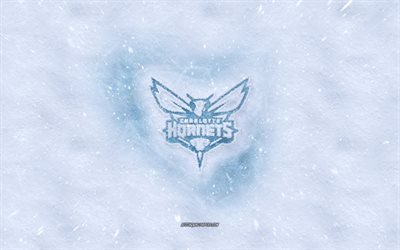 Charlotte Hornets logo, American basketball club, winter concepts, NBA, Charlotte Hornets ice logo, snow texture, Charlotte, North Carolina, USA, snow background, Charlotte Hornets, basketball