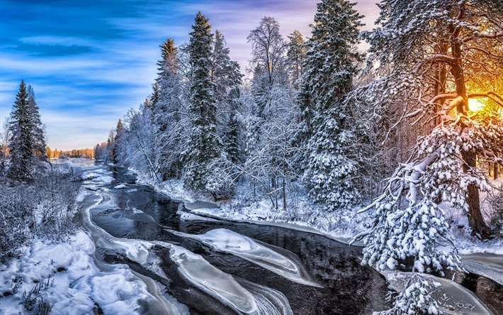 vinter, skogen, river, vacker natur, sunset, sn&#246;drivorna, HDR