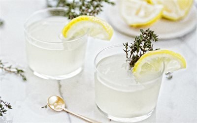 Gin Sour Cocktail, il gin, il succo di limone appena spremuto, giffard sciroppo di zucchero di canna, bianco d&#39;uovo pastorizzato, angostura, bevande