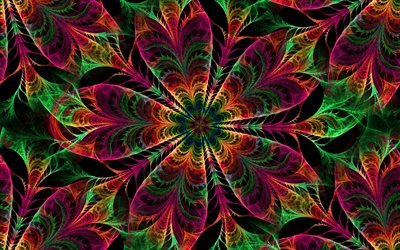 les fractales, abstraite fleurs, 4k, 3d, art, motifs floraux, neon art, abstrait, floral de milieux, cr&#233;atif, art fractal, les arri&#232;re-plans sombres