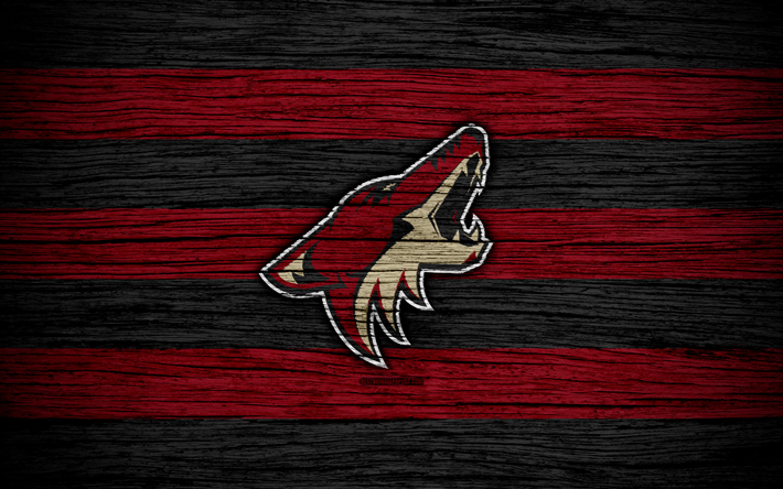 Where Hockey Meets Art — wallpapers • arizona coyotes (reverse retro) +