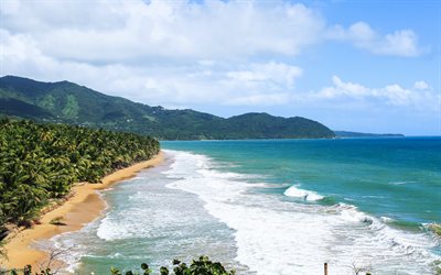 Caribbean Sea, coast, tropical island, beach, waves, palm trees, Puerto Rico
