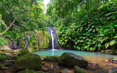 waterfall, lake, rainforest, jungle, Cascade Bis, Sainte-Rose, Guadeloupe