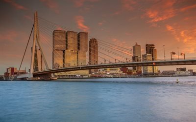 Rotterdam, Erasmusbrug, Pont Erasmus, pays-bas, soir&#233;e, coucher du soleil, les b&#226;timents modernes, belle ville, les ponts