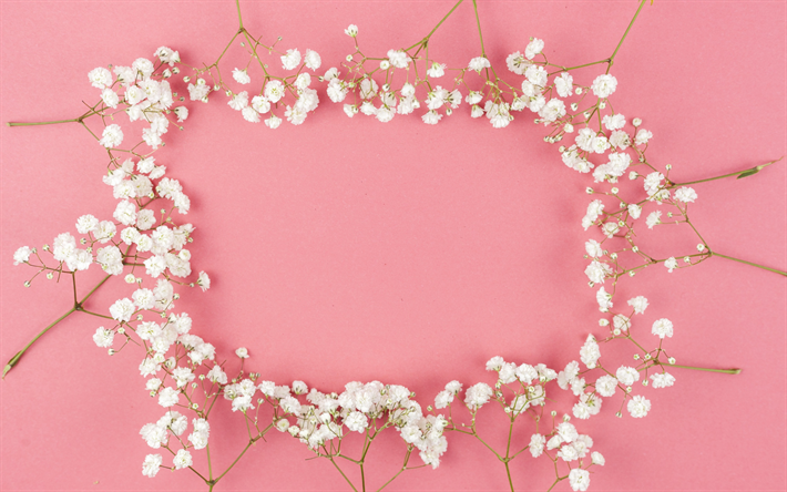 flower frame, pink background, white spring flowers, spring frame