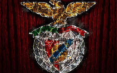 L&#39;SL Benfica, bruciata logo, Primeira Liga, rosso, di legno, sfondo, portoghese football club, il Benfica FC, grunge, calcio, calcetto, il Benfica logo, texture del fuoco, Portogallo