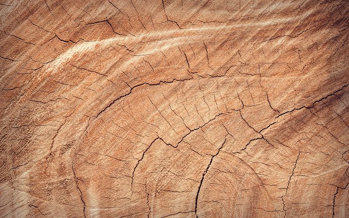Với hình nền gỗ nứt, bạn sẽ khám phá ra vẻ đẹp của thiên nhiên và sự hoàn hảo của sự mất mát. Hãy cảm nhận sự ấn tượng của hình ảnh này với kẻ nứt nhỏ tạo nên khối hình tuyệt đẹp.