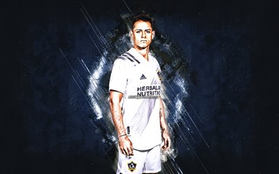 Javier Hernandez, Chicharito, Los Angeles Galaxy, MLS, ritratto, giocatore di calcio messicano, pietra blu di sfondo, calcio, USA