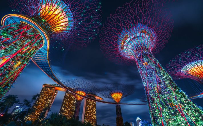 Singapour, Supertree Grove, Marina Bay Sands, soir, coucher de soleil, cr&#233;ativit&#233; arbres, dans les Jardins de la Baie, Marina Gardens