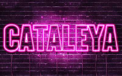 Cataleya, 4k, wallpapers with names, female names, Cataleya name, purple neon lights, horizontal text, picture with Cataleya name