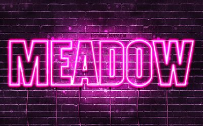 Meadow, 4k, wallpapers with names, female names, Meadow name, purple neon lights, horizontal text, picture with Meadow name