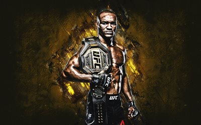 Kamaru Usman, UFC, american fighter, portrait, Ultimate Fighting Championship, yellow stone background, USA