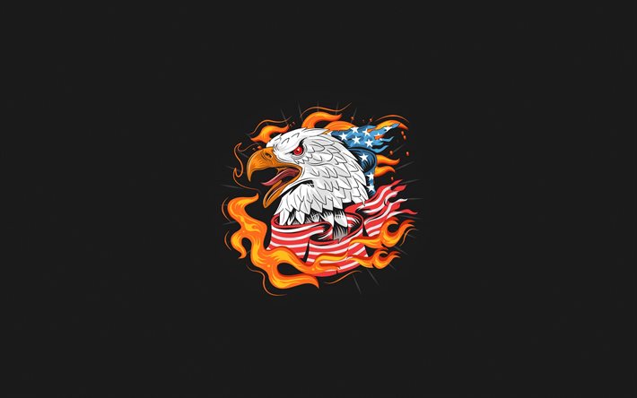 bald eagle, 4k, american symbols, hawk, minimal, creative, symbols of USA