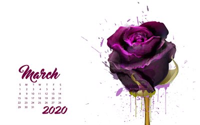 2020 Mars Kalender, maroon grunge rose, 2020 v&#229;ren kalendrar, 2020 begrepp, rosor, Mars 2020 Kalender