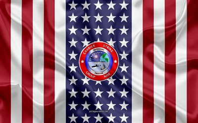 Carrier Strike Group 9 Emblem, CSG-9, USS Theodore Roosevelt, CVN-71, American Flag, US Navy, Silk Texture, United States Navy, Silk Flag, Carrier Strike Group 9, USA