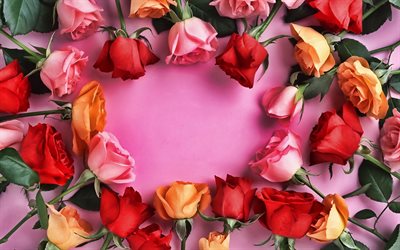 colorful roses frame, floral concepts, floral frames, pink backgrounds, pink flowers, pink floral frame, roses frames, background with flowers