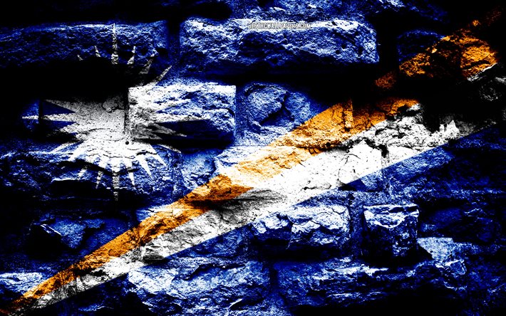 Islas Marshall bandera, grunge textura de ladrillo, la Bandera de las Islas Marshall, de la bandera en la pared de ladrillo, Islas Marshall, las banderas de los pa&#237;ses de Ocean&#237;a