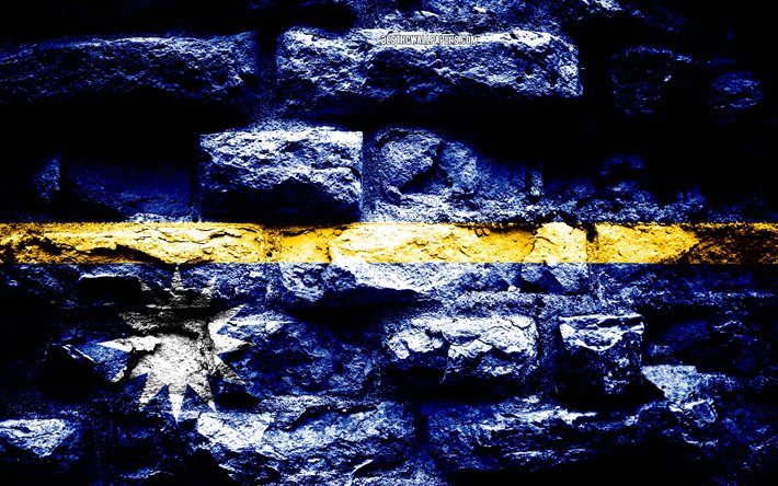 Bandeira de Nauru, grunge textura de tijolos, bandeira na parede de tijolos, Nauru, bandeiras da Oce&#226;nia pa&#237;ses