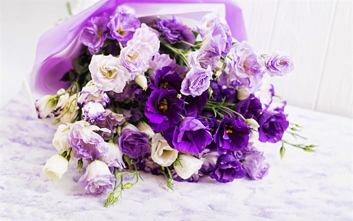viola eustoma, macro, bokeh, bouquet di eustoma, fiori viola, eustoma, bellissimi fiori