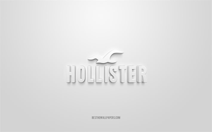 Logo Hollister, fond blanc, logo 3d Hollister, art 3d, Hollister, logo des marques, logo Hollister, logo Hollister 3d blanc