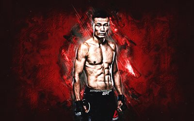 Chan Sung Jung, MMA, UFC, South Korean fighter, red stone background, Ultimate Fighting Championship