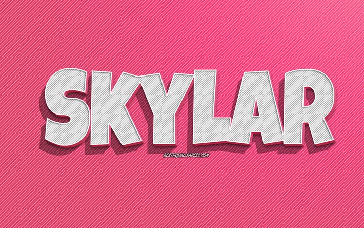Skylar, fond de lignes roses, fonds d&#39;&#233;cran avec noms, nom Skylar, noms f&#233;minins, carte de voeux Skylar, dessin au trait, photo avec nom Skylar