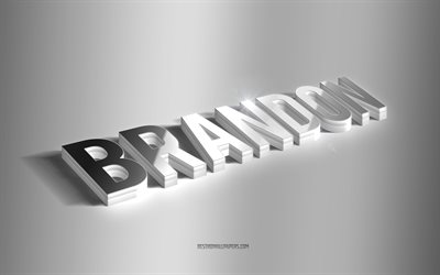 براندون, فن 3d الفضة, خلفية رمادية, خلفيات بأسماء, اسم براندون, بطاقة تهنئة براندون, فن ثلاثي الأبعاد, صورة باسم براندون