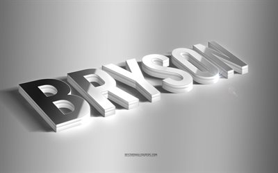 Bryson, art 3d argent&#233;, fond gris, fonds d&#39;&#233;cran avec noms, nom Bryson, carte de voeux Bryson, art 3d, photo avec nom Bryson