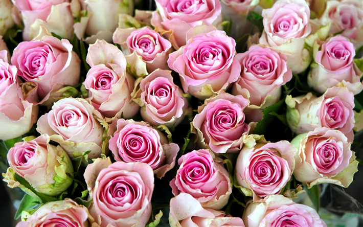 bouquet di rose rosa, sfondo con rose, bellissimo bouquet di fiori, bouquet di rose, sfondo di rose rosa