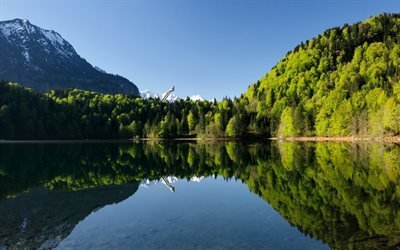 Oberstdorf, 4k, sommar, sj&#246;n, berg, skogen, Tyskland, Europa