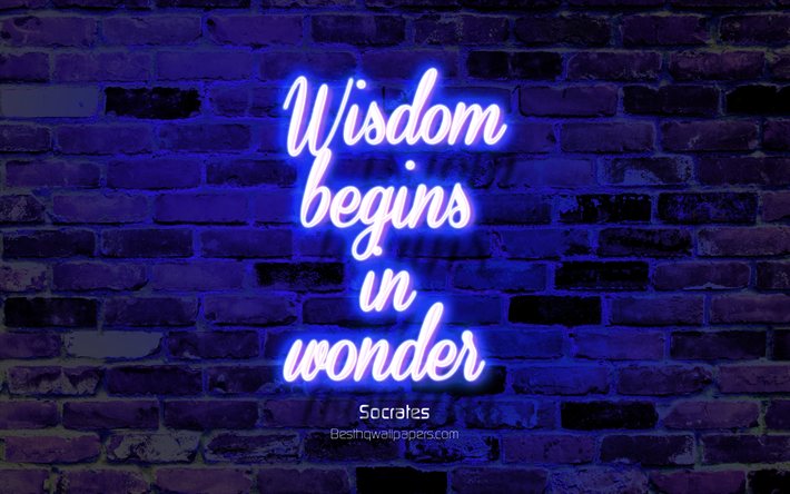 Wisdom begins in wonder, blue brick wall, Socrates Quotes, neon text, inspiration, Socrates, quotes about wisdom