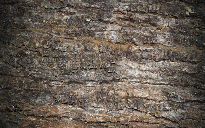 texture de pierre, de la macro, du gris, des pierres, de la pierre de fond, mur d&#39;escalade