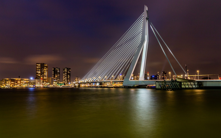 Erasmusbrug, Rotterdam, Pont Erasmus, le soir, paysage urbain, pays-bas