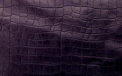 viola pelle di coccodrillo texture, sfondo viola, pelle texture, texture tessuto