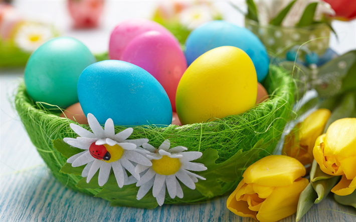 Paskalya yumurtaları, sepet, papatyalar, bahar &#231;i&#231;ekleri, Paskalya, bahar, Paskalya arka plan