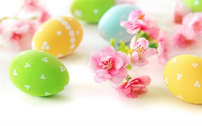 Easter, spring flowers, Easter eggs, white background, painted eggs