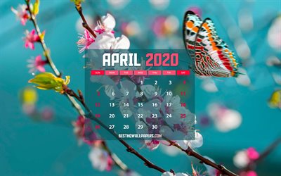 Calendrier avril 2020, les papillons, 2020 calendrier, le printemps des calendriers, avril 2020, cr&#233;atif, fonds bleus, avril 2020 calendrier avec des papillons, avril 2020 Calendrier, des illustrations, des calendriers 2020