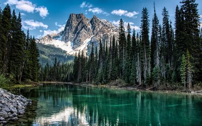 mountain lake, skogen, v&#229;ren, emerald lake, stenar, Alperna, Italien, Bergslandskapet