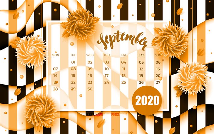 September 2020 Calendar, 4k, orange 3D flowers, 2020 calendar, autumn calendars, September 2020, creative, September 2020 calendar with flowers, Calendar September 2020, artwork, 2020 calendars, 2020 September Calendar