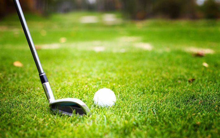 golf, club und kugel, gr&#252;n, gras, golfplatz