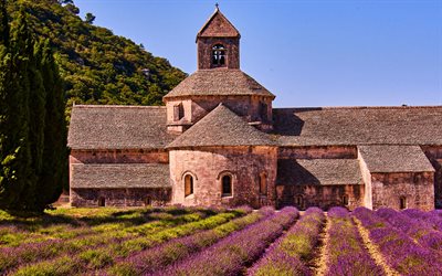 Provence, laventeli kentt&#228;, lila kukkia, kes&#228;ll&#228;, Ranska, vanha, arkkitehtuuri, kirkko, Euroopassa