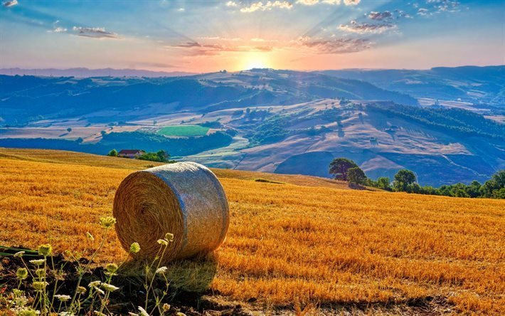 Campania, 4k, summer, sunset, fields, dawn, Italy, beautiful nature, Europe